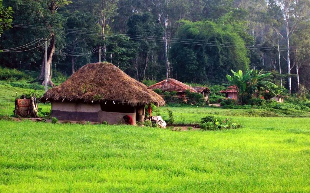 বস্টন থেকে উহান
