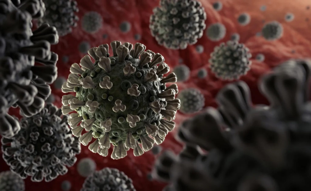 CovidVirus